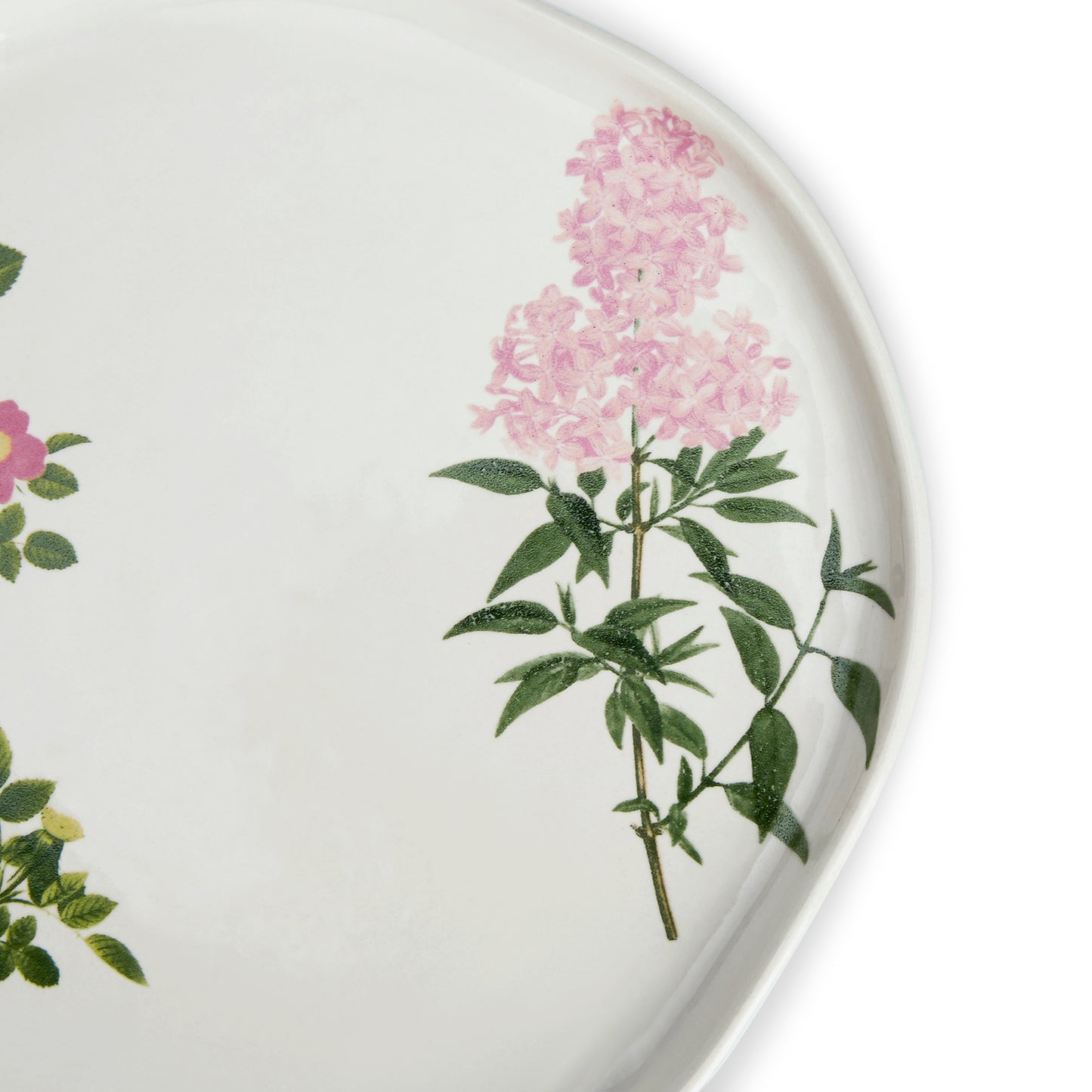 Botanique Clay Breakfast Plate