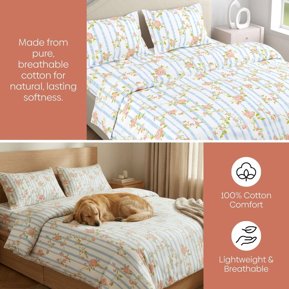 Rosaline Stripes 100% Cotton Double Size Bedsheet, 144 TC