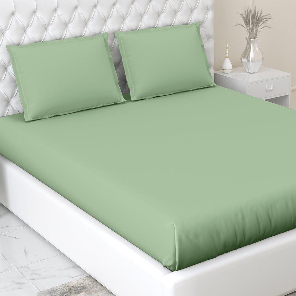 Olive 100% Cotton Bedsheet, 300 TC