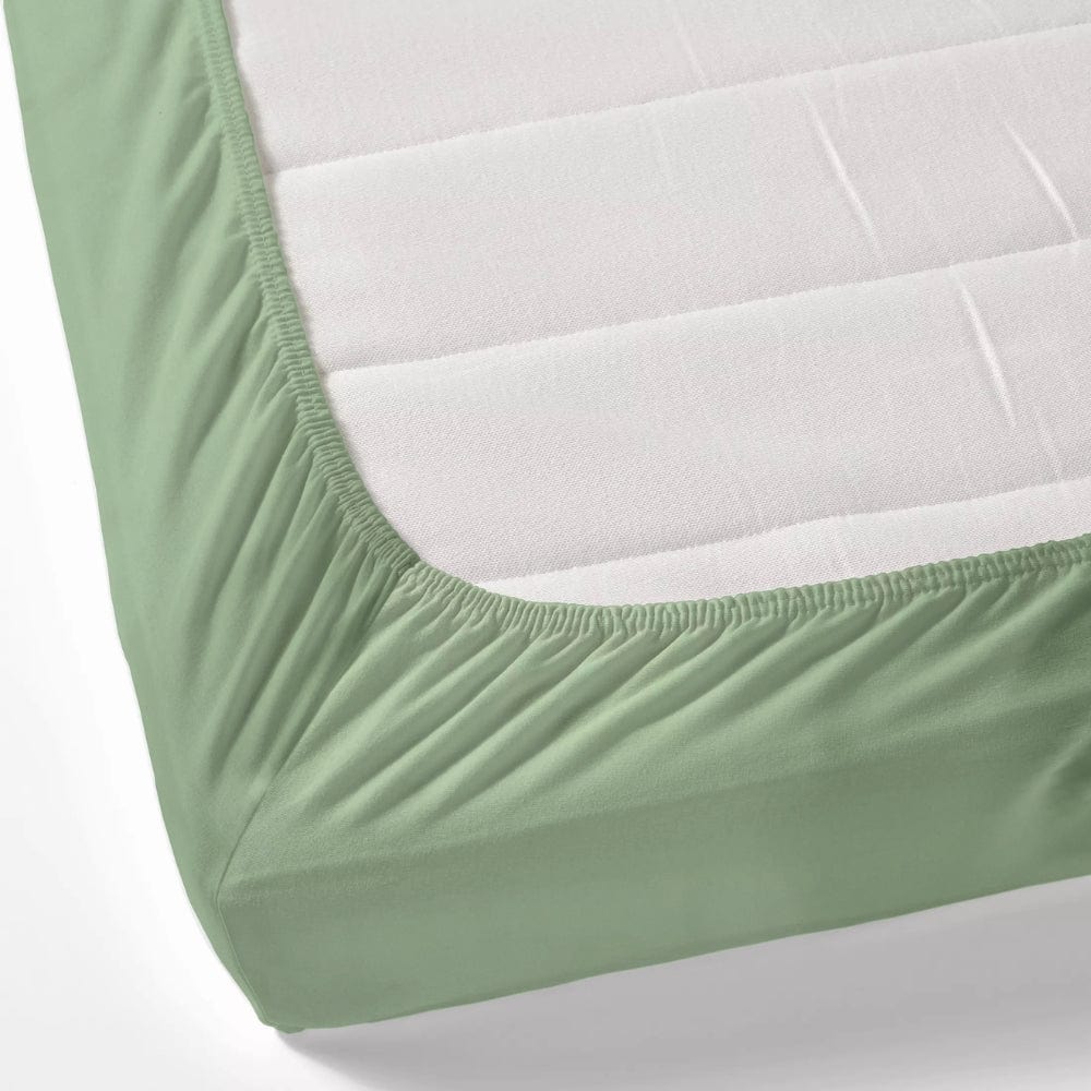 Olive 100% Cotton Bedsheet, 300 TC