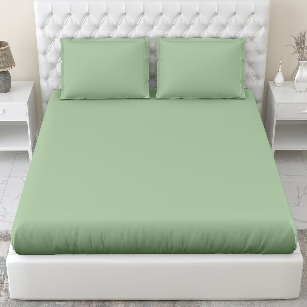 Olive 100% Cotton Bedsheet, 300 TC