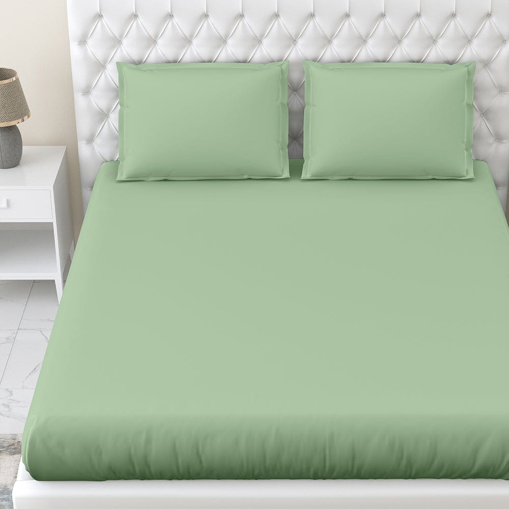 Olive 100% Cotton Bedsheet, 300 TC
