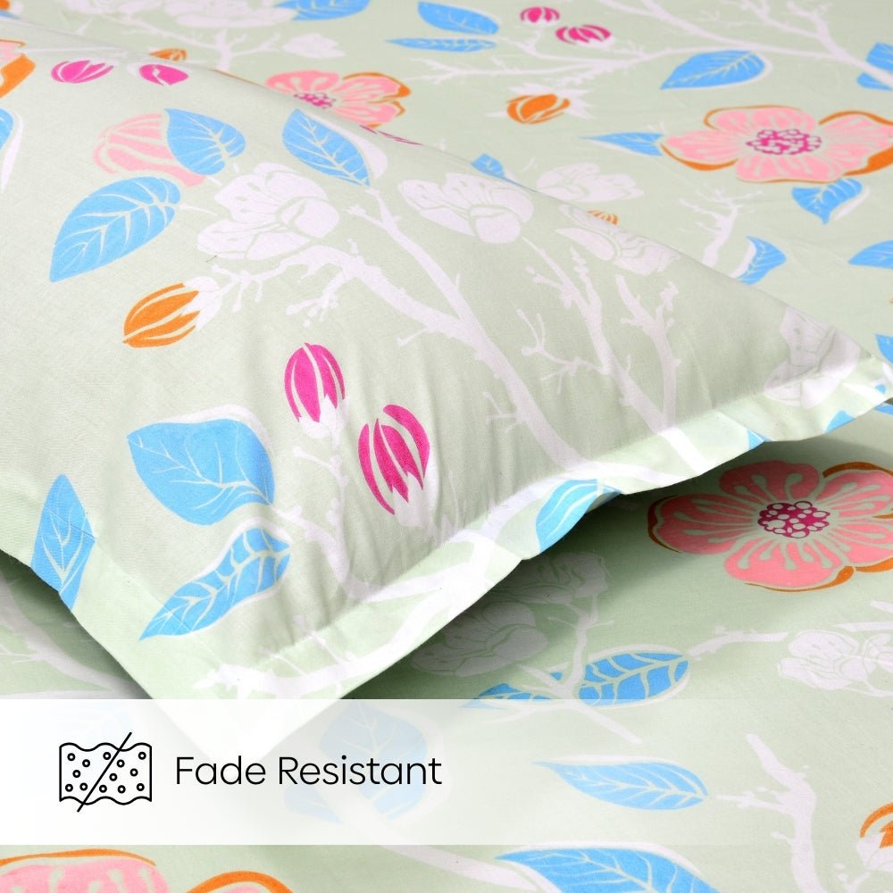 Bloomfield Dawn Combed Cotton King Fitted Bedsheet, 186 TC - Bedsheets | haus & kinder