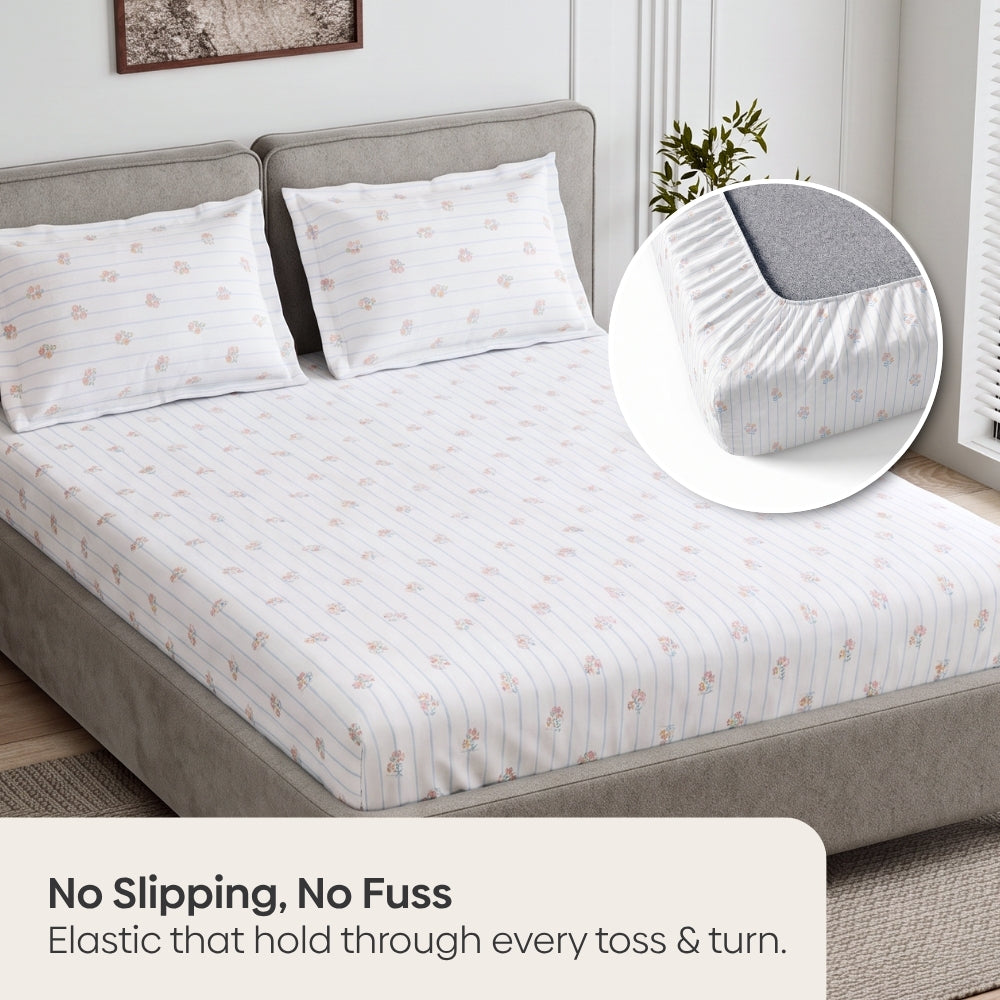 Kohana Stripe 100% Cotton King Fitted Bedsheet, 186 TC