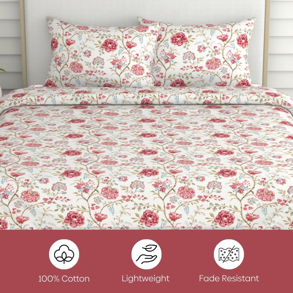 Modern Heritage 100% Cotton King Size Bedsheet, 186 TC, Red