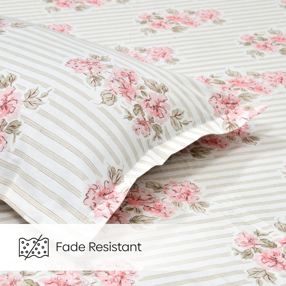 Radiance in Bloom Combed Cotton King Bedsheet , 186 TC