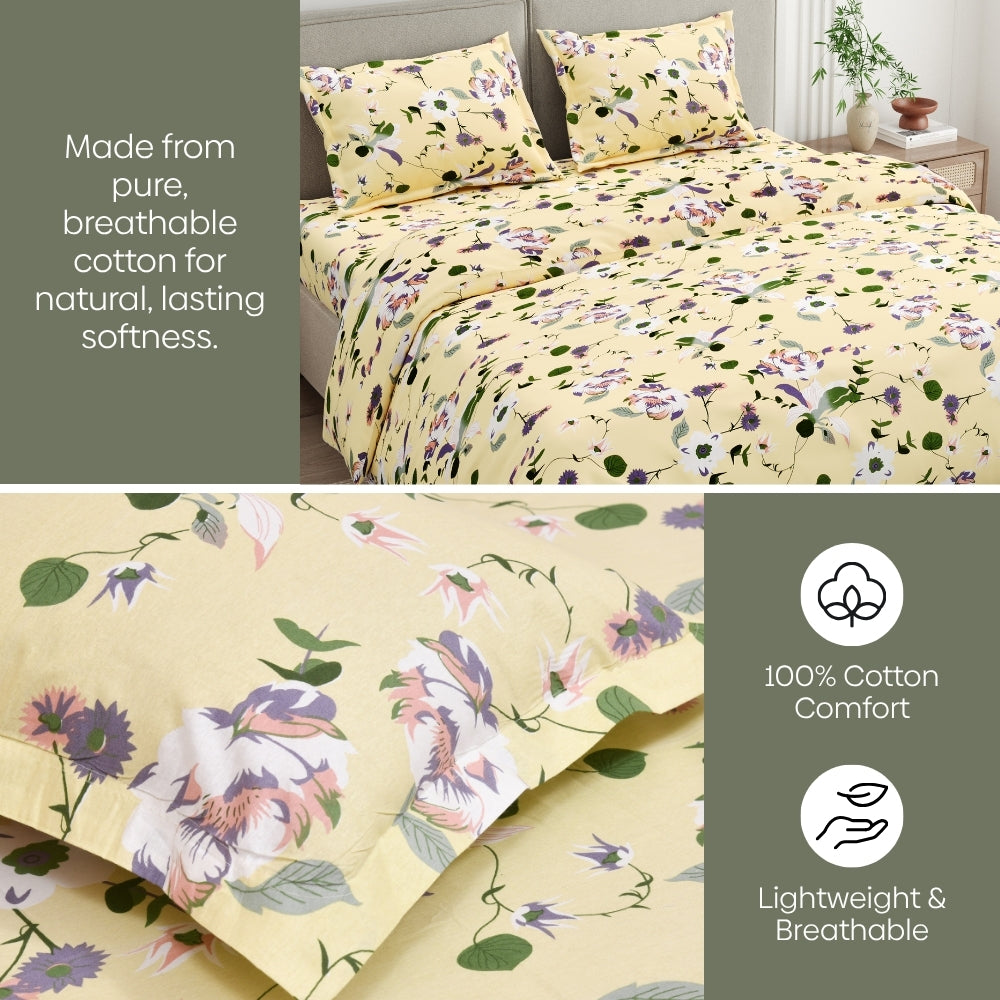 Bold Floral 100% Cotton King Size Bedsheet, 144 TC