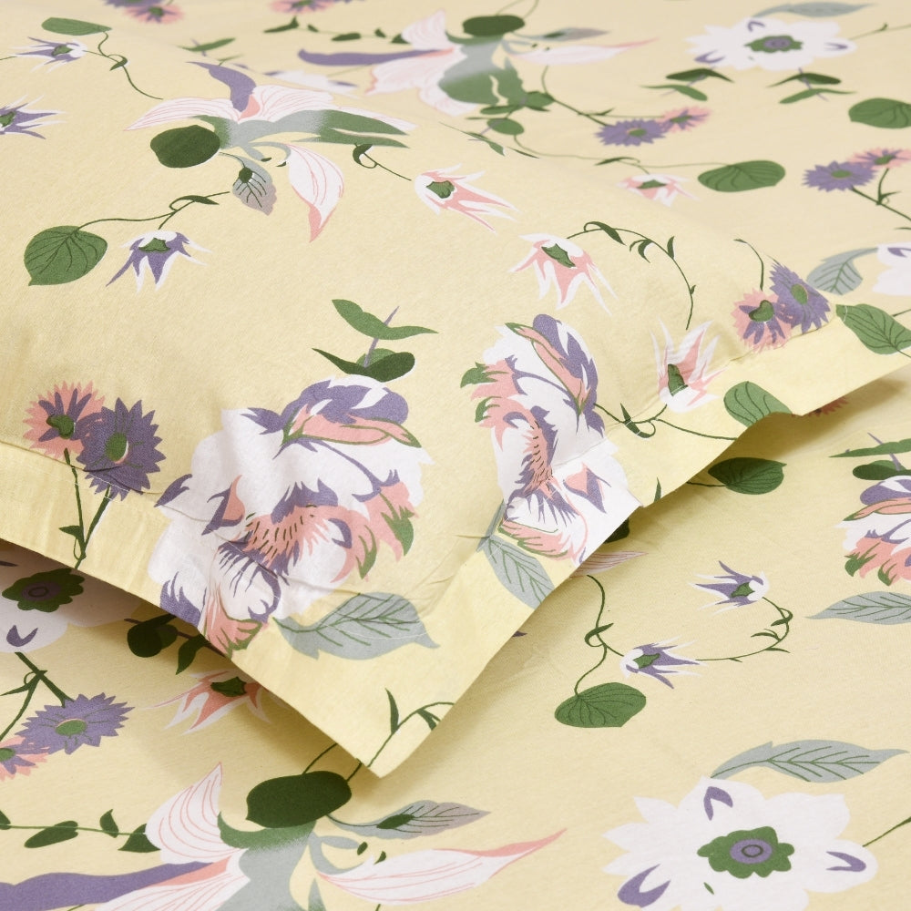 Bold Floral 100% Cotton King Size Bedsheet, 144 TC