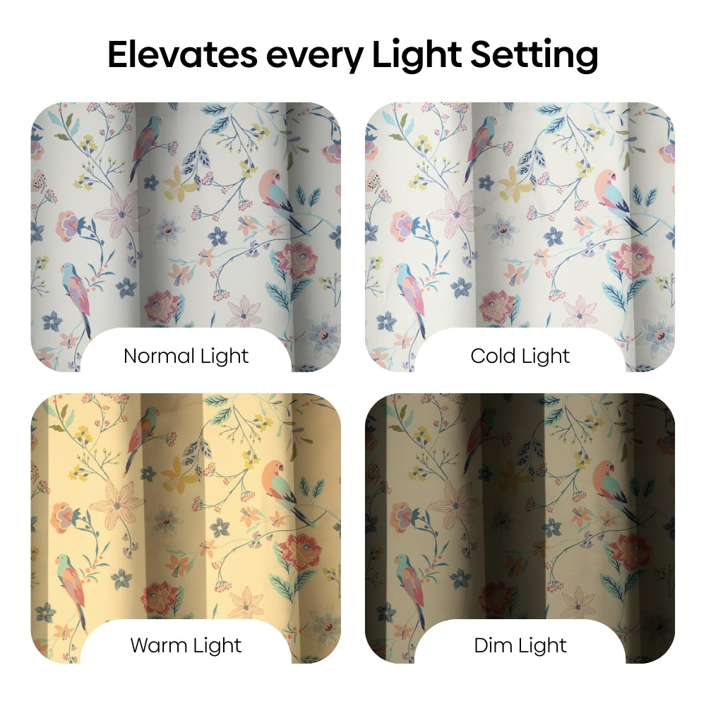 Cotton Printed Pack Of 2 Curtain Exotic Wings, Multicolor