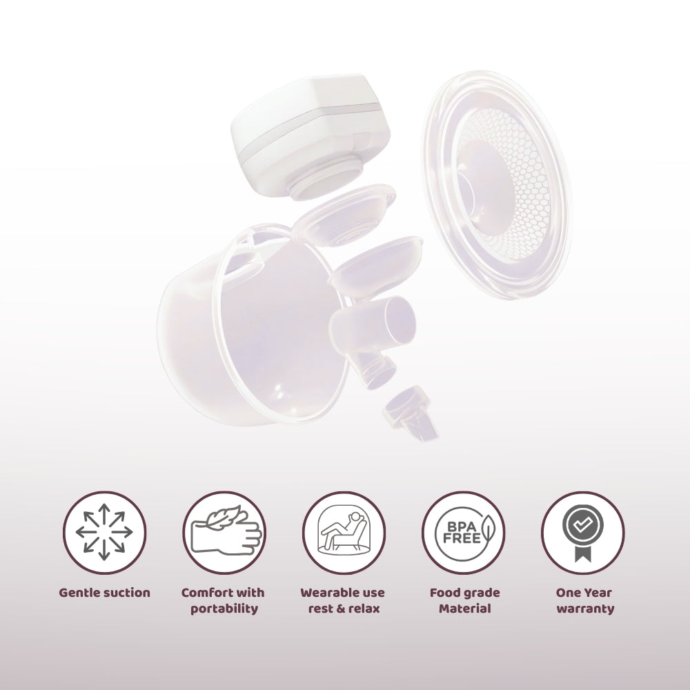 Electric Feeding Pump – Compact & Quiet