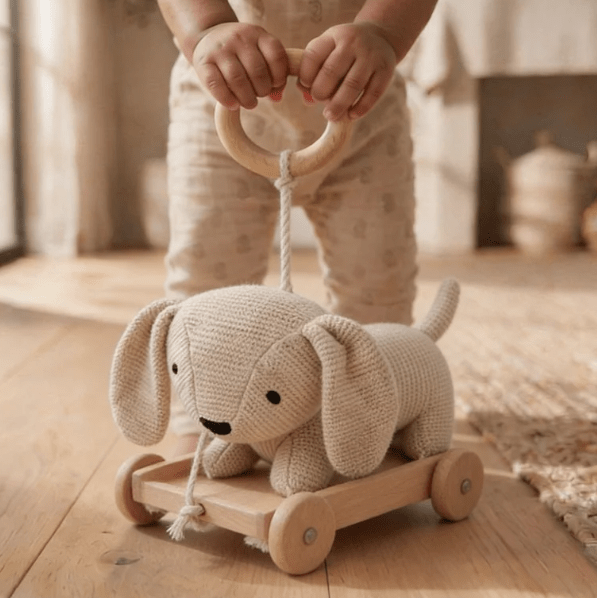 Push & Pull Cart Toy - Toys | haus & kinder