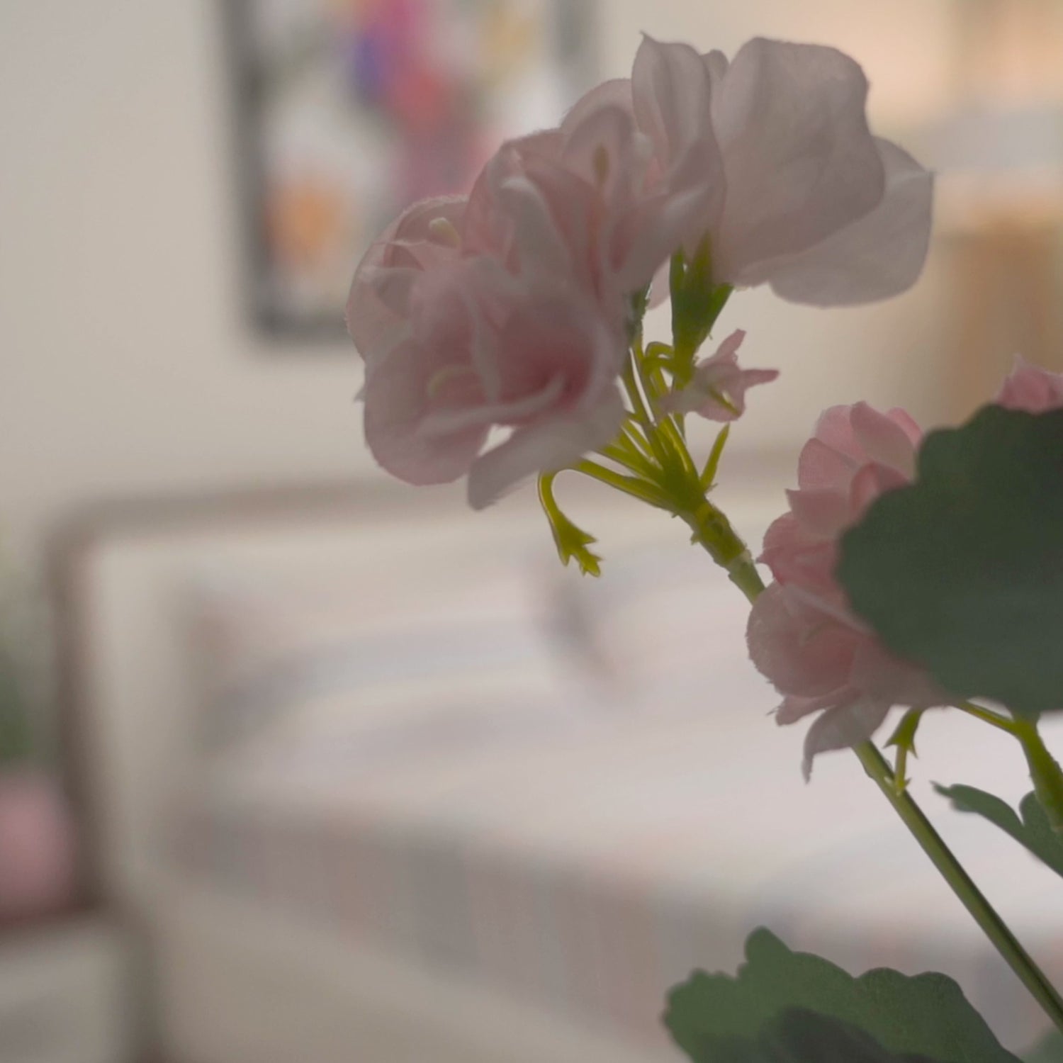 Magical Stripes 100% Cotton King Size Bedsheet, 186 TC, Blue and Yellow