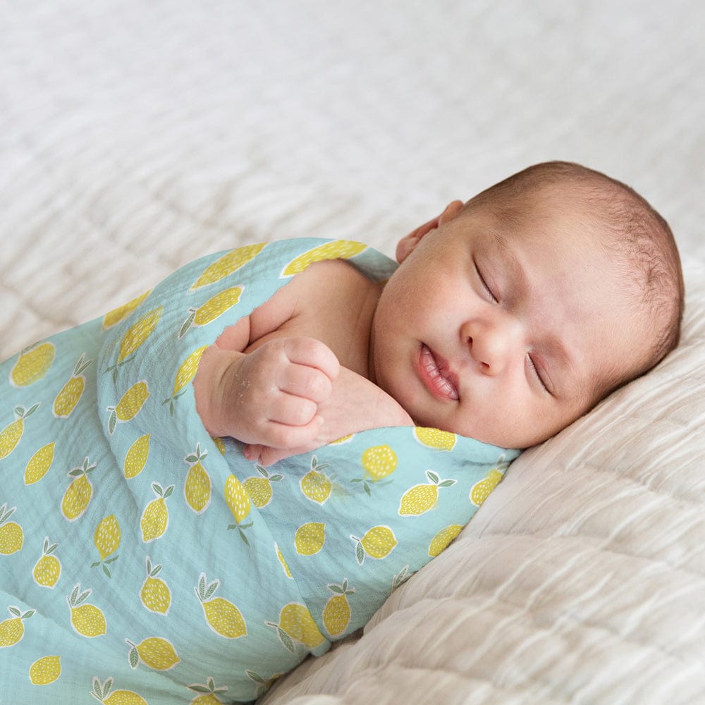Aloha Collection 100% Cotton Muslin Swaddle Pack Of 4 (Elephant, Dot, Fruit, Ocean)