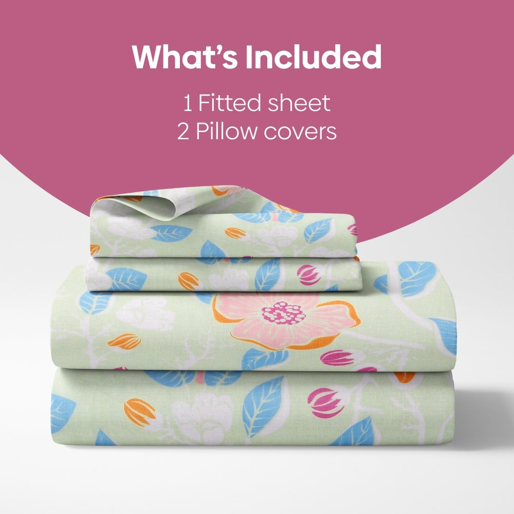 Bloomfield Dawn Combed Cotton Double Fitted Bedsheet, 186 TC