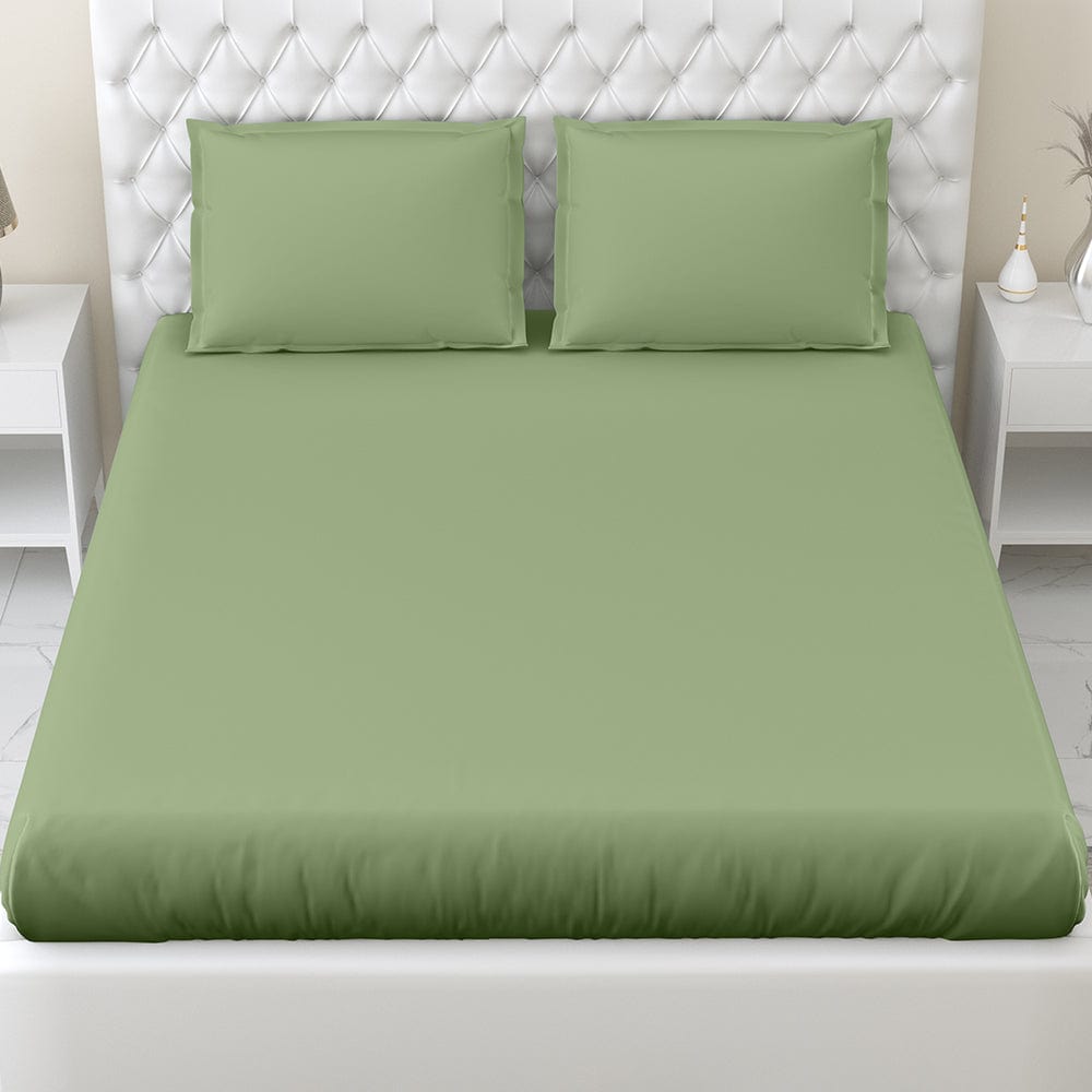 Moss 100% Cotton Bedsheet, 300 TC