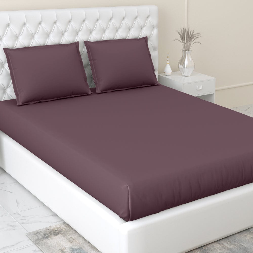 Plum 100% Cotton Bedsheet, 300 TC