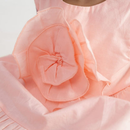 Baby Rose Frock- Pink