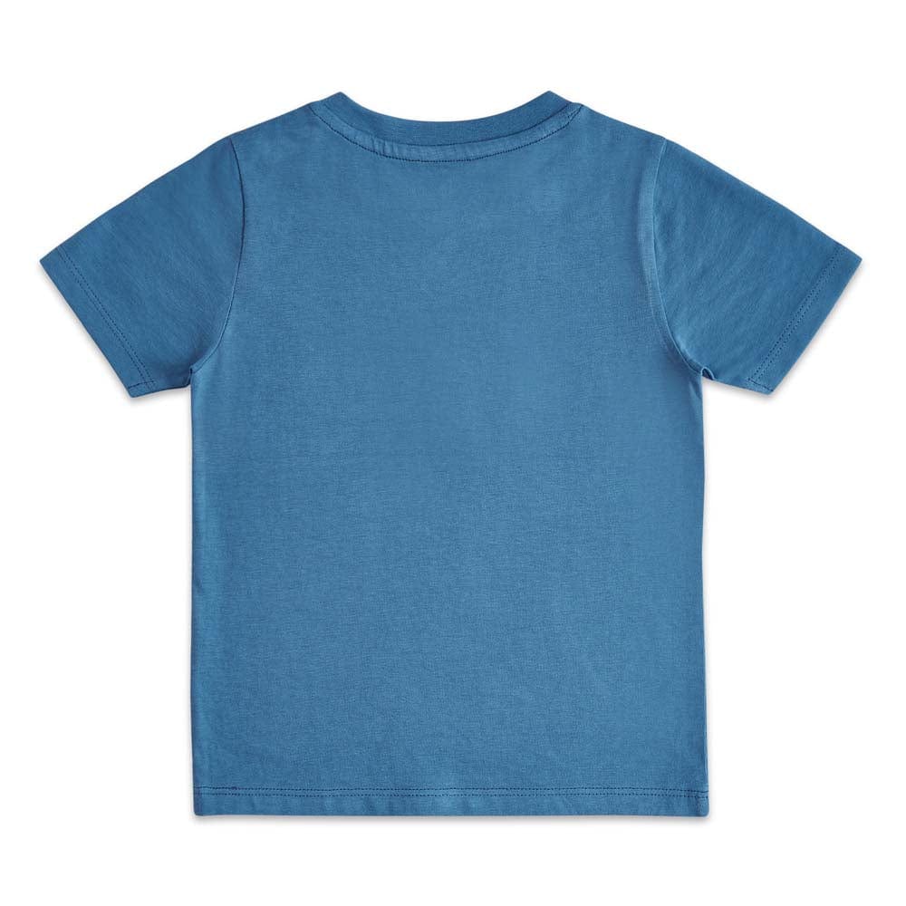 100% Cotton Half Sleeve Boy T-Shirt, Royal Blue