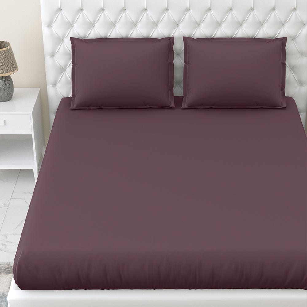Plum 100% Cotton Bedsheet, 300 TC