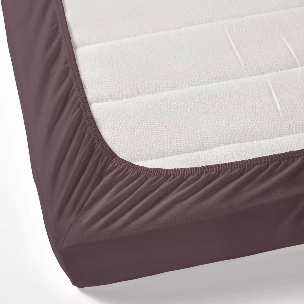 Plum 100% Cotton Bedsheet, 300 TC