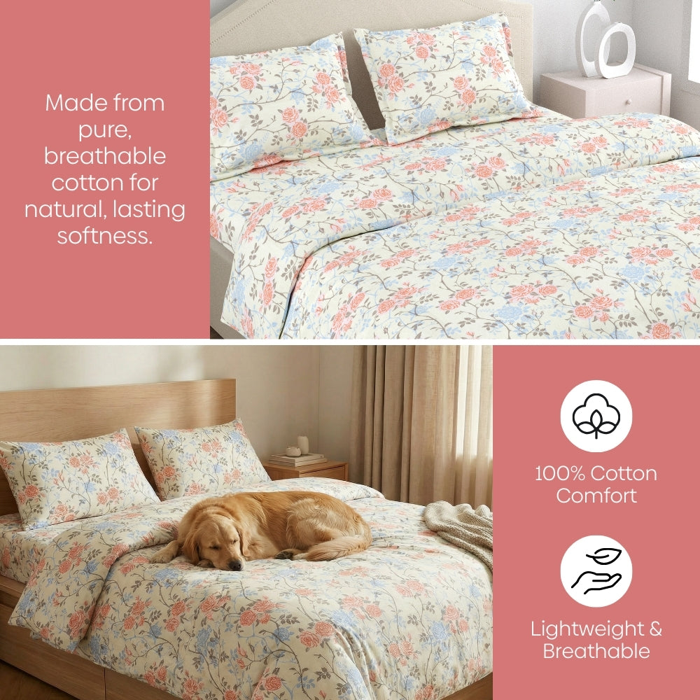 100% Combed Cotton 144 TC Double Flat Bedsheet Petalhaze