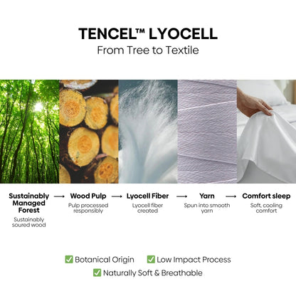 Tencel 300 TC King Flat Bedsheet- Cloud Drift