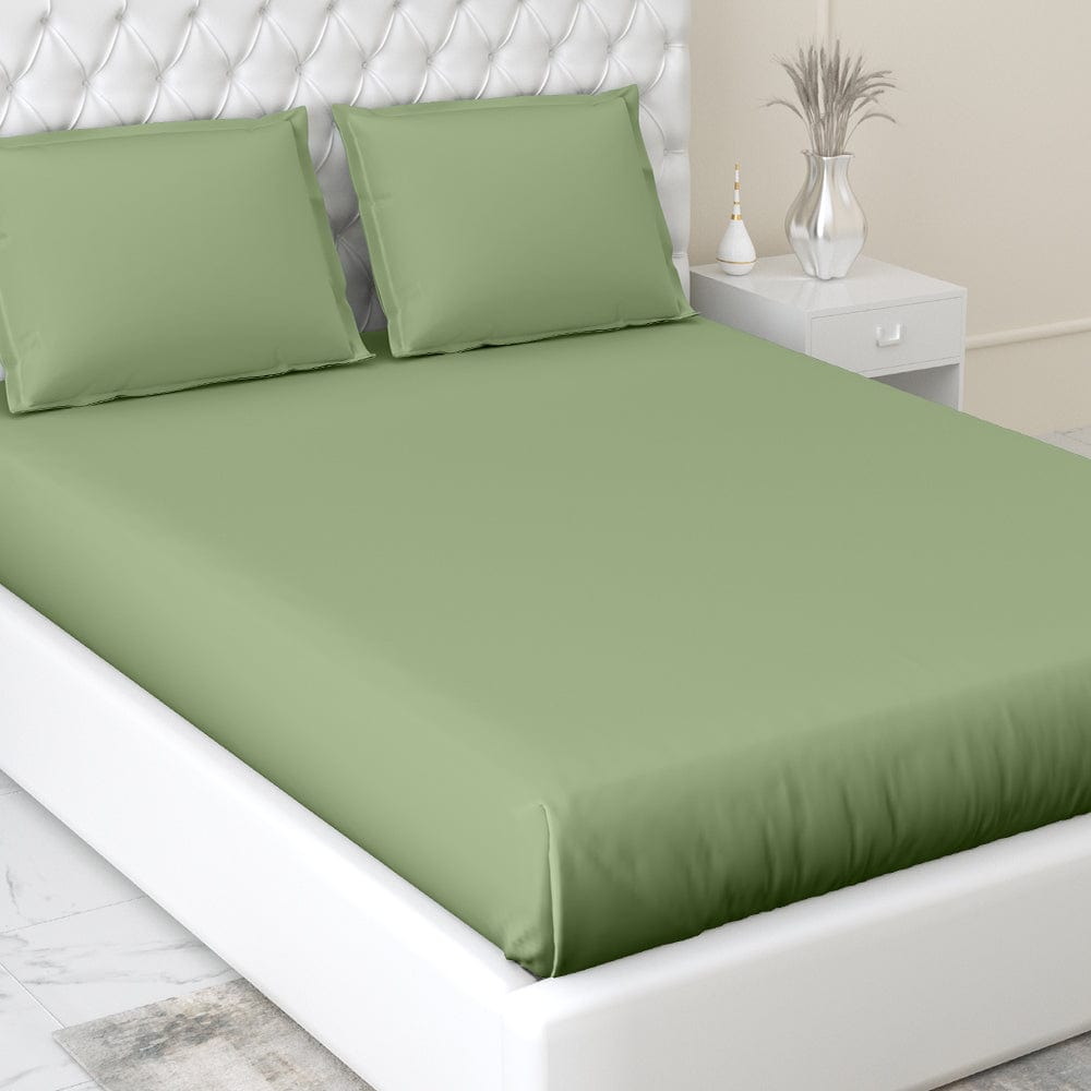 Moss 100% Cotton Bedsheet, 300 TC