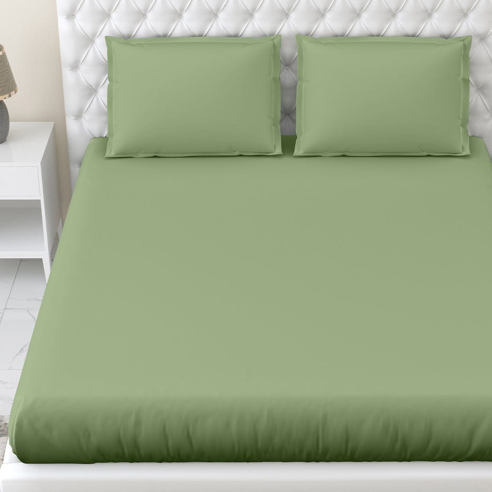 Moss 100% Cotton Bedsheet, 300 TC