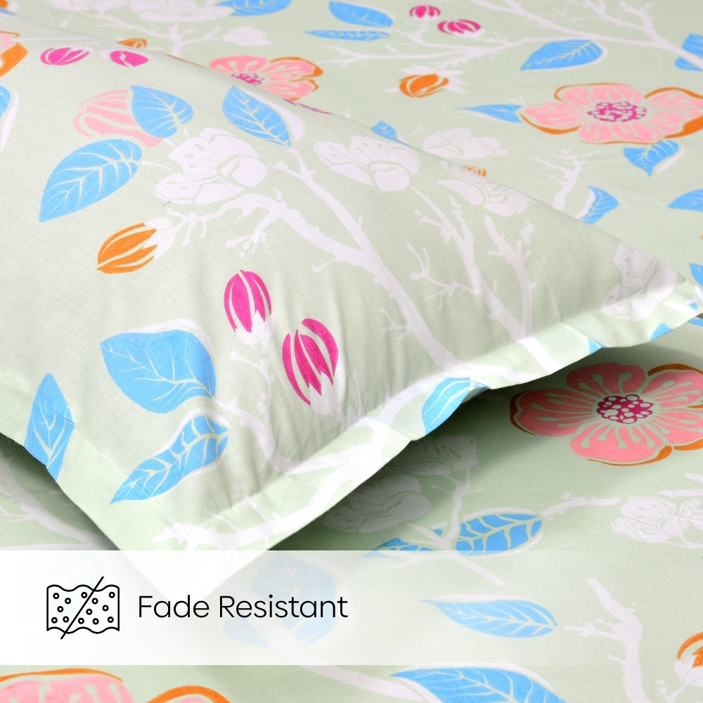 Bloomfield Dawn Combed Cotton Double Fitted Bedsheet, 186 TC