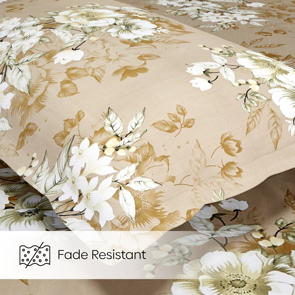 Royal Mocha Botanica 100% Cotton King Size Bedsheet, 144 TC