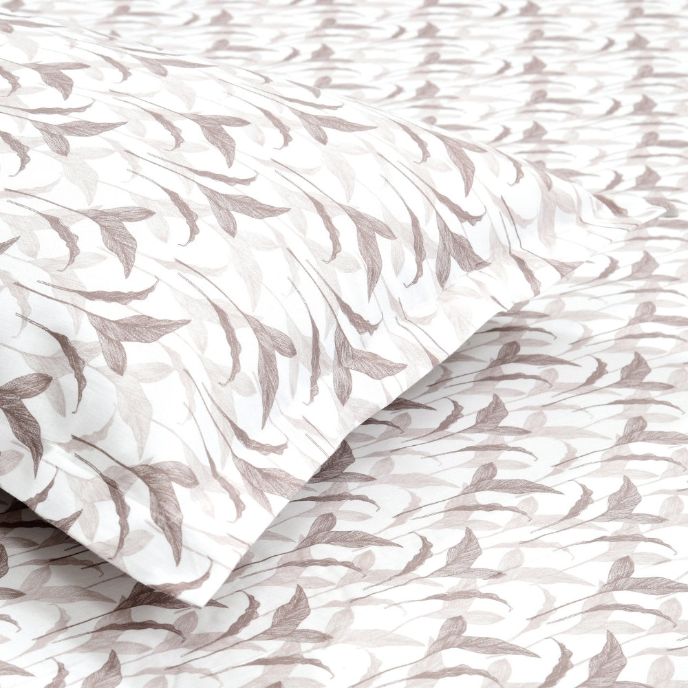 Velvet Canopy 100% Cotton Double Size Bedsheet, 300 TC