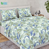 Ring Spun 100% Cotton Bedsheet- Isle Mirage