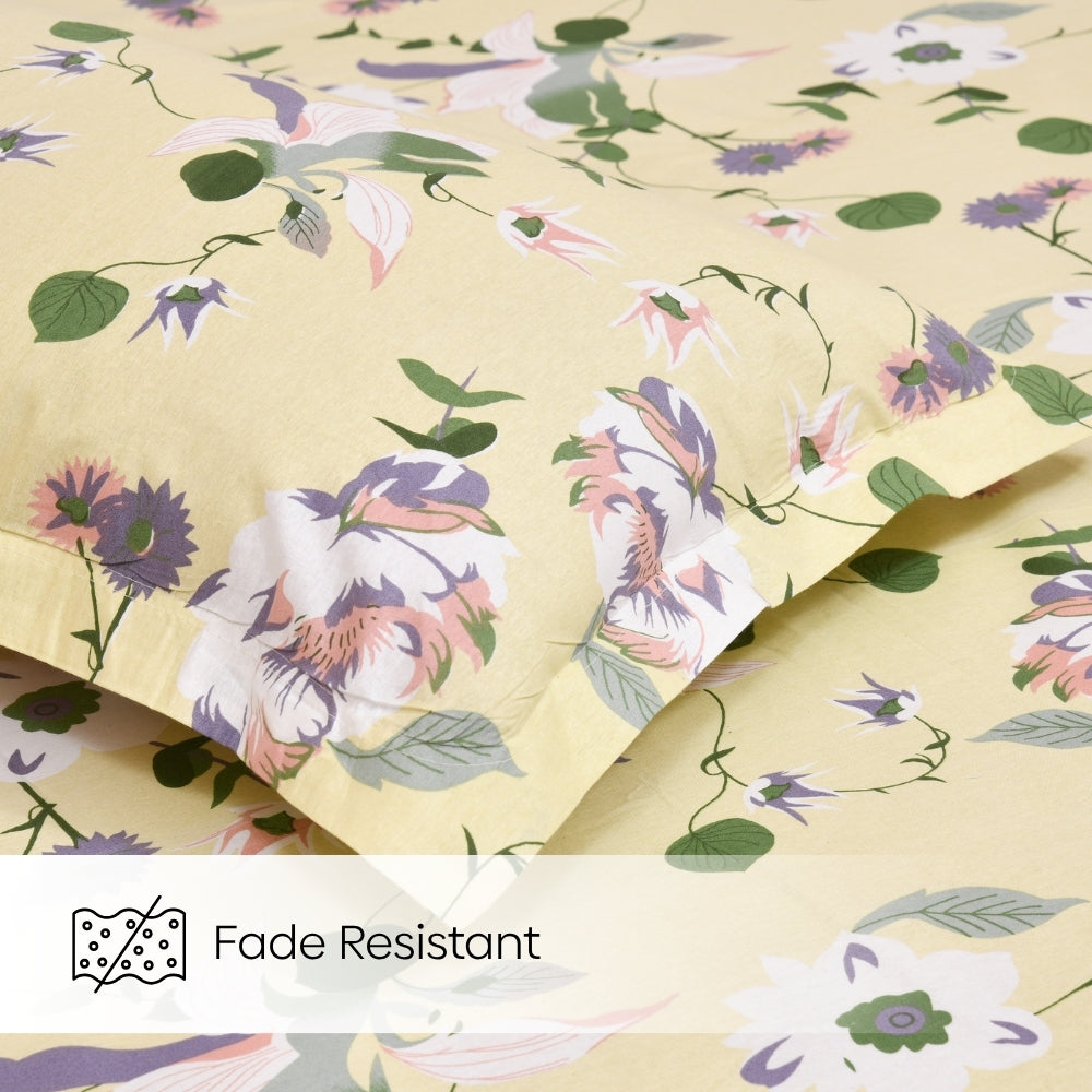 Bold Floral 100% Cotton King Size Bedsheet, 144 TC
