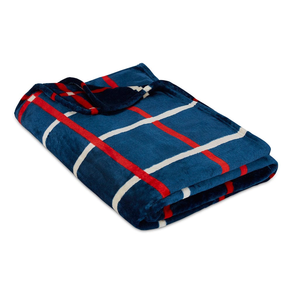 Blue Stripe Printed Reversible Flannel AC / All season Blanket - Double