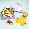 Baby Shower Gift Box Pack of 3: Jungle Party