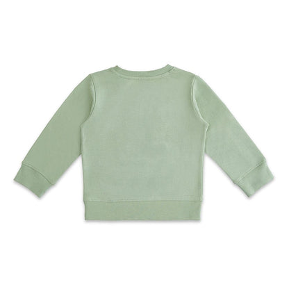 100% Cotton Full Sleeve Boy Sweatshirts, Green