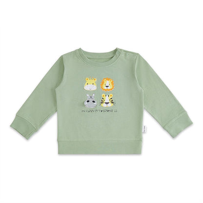 100% Cotton Full Sleeve Boy Sweatshirts, Green