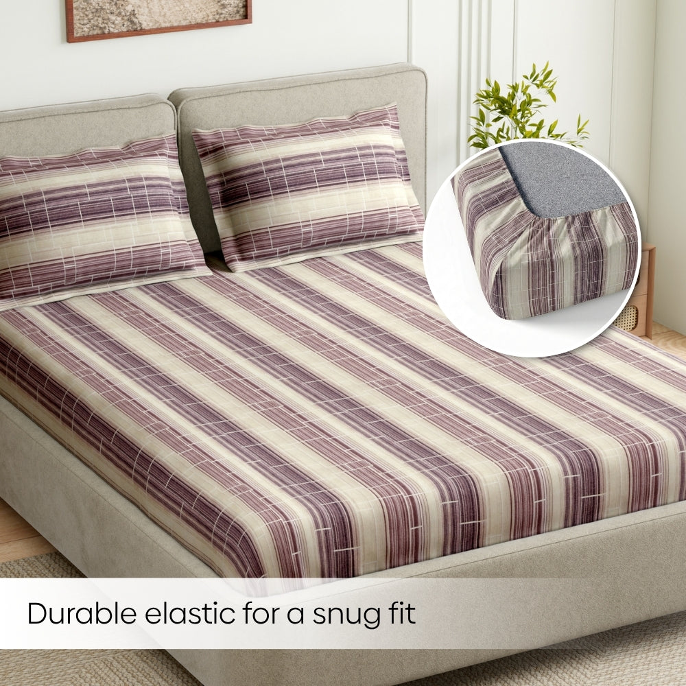 Purple Linear Muse 100% Cotton King Fitted Bedsheet, 144 TC