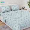 Ring Spun 100% Cotton Bedsheet-  Rosebud Trellis