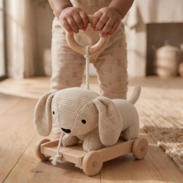 Push & Pull Cart Toy