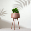 Claystone Planter Big- Blush